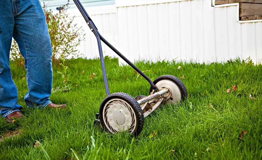 Where Can I Find Cheap Lawn Mowers