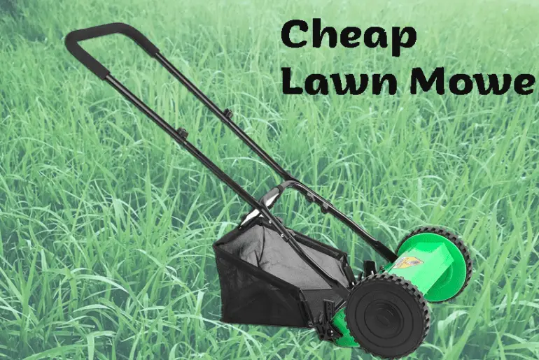 How To Fix A Stuck Float On Lawnmower? [StepByStep]