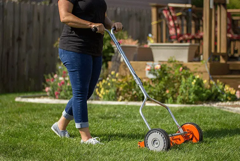 Who Sells Cheap Lawn Mowers?