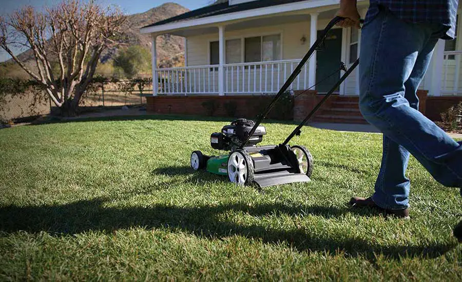 Where To Buy Lawn Boy Mowers?