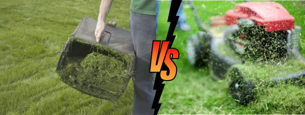 Is It Better To Bag Grass Clippings Or Leave Them On The Grass