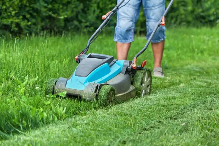 Best Electric Lawn Mower