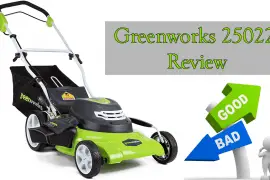 Greenworks 25022 Review