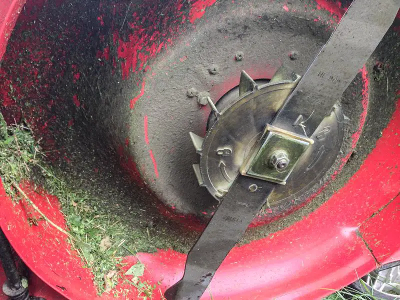 How To Sharpen Lawn Mower Blades Without Removing (Step-By ...