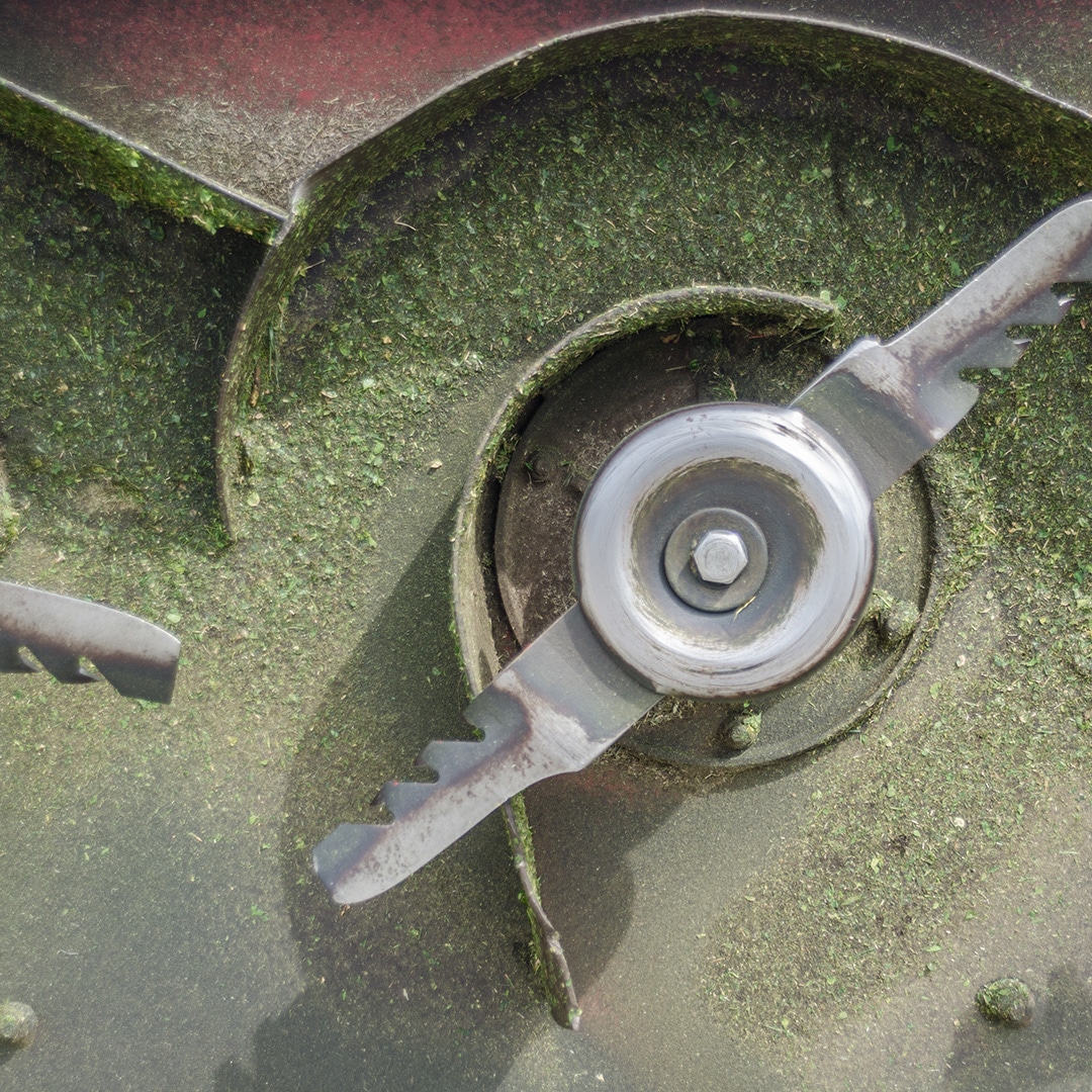 How To Sharpen Lawn Mower Blades Without Removing (StepByStep Guide)