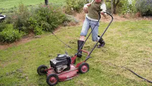 mower lawn