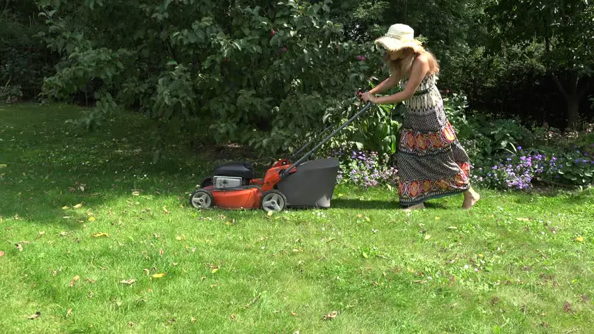 How To Start A Lawn Mower