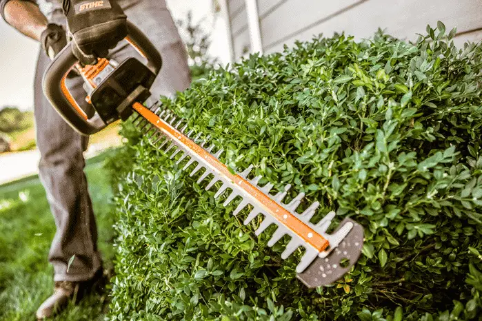 Hedge trimmer A Complete Guideline To Cut Grass Without A Lawnmower