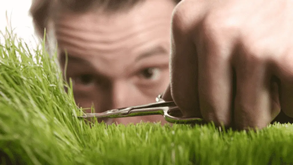 How To Cut Grass Without A Lawnmower? Here Is The Process