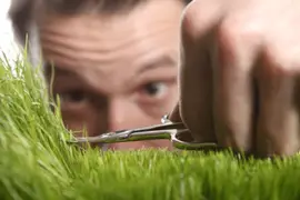 How To Cut Grass Without A Lawnmower