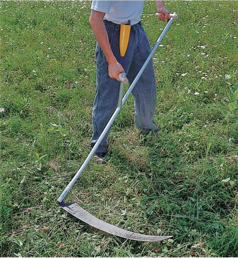 How To Cut Grass Without A Lawnmower? Here Is The Process