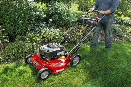 Best Commercial Lawn Mower