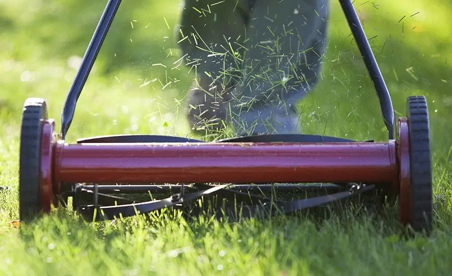 How To Sharpen Reel Lawn Mower Blades By Hand?