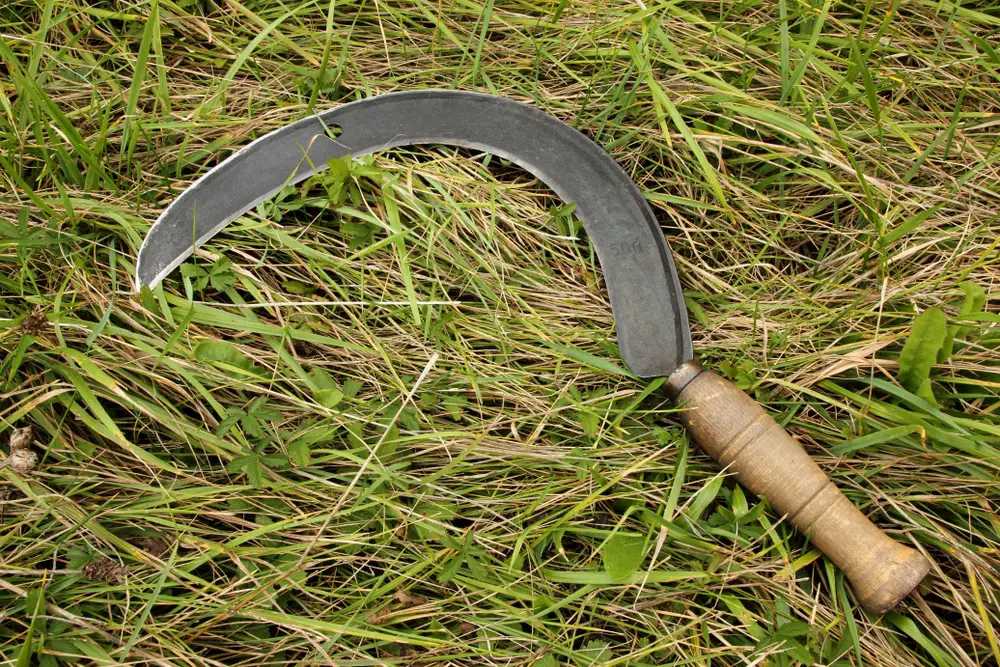 Historic sickle for cutting grass.