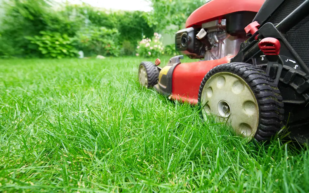 Ground-level closeup of a lawn mower from the rear and side.