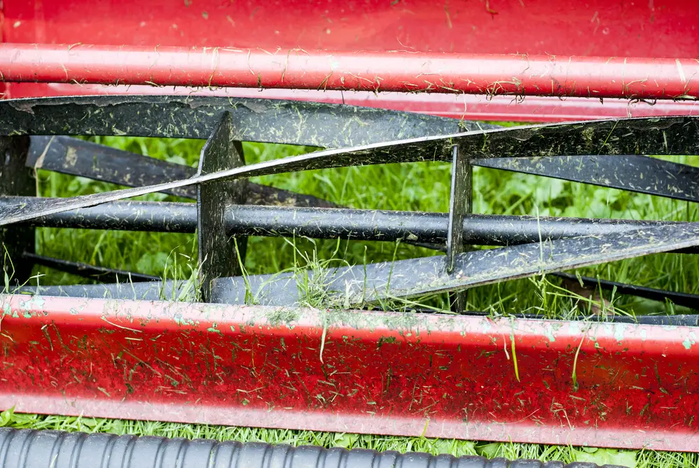 Closeup of a reel lawn mower as it cuts grass.