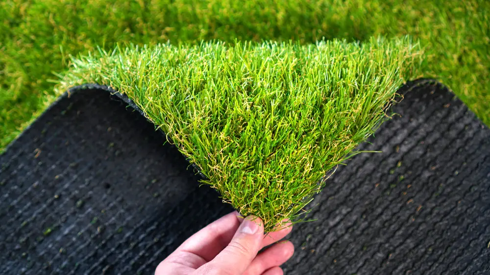 Someone's hand holding the corner of some turf grass.