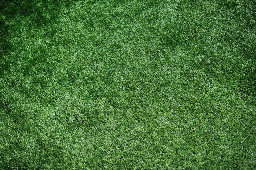 An overhead shot of artificial grass.