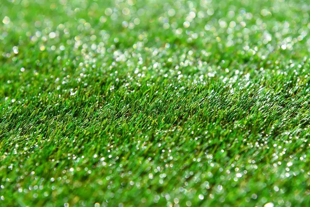 A closeup of artificial grass catching the sunlight.