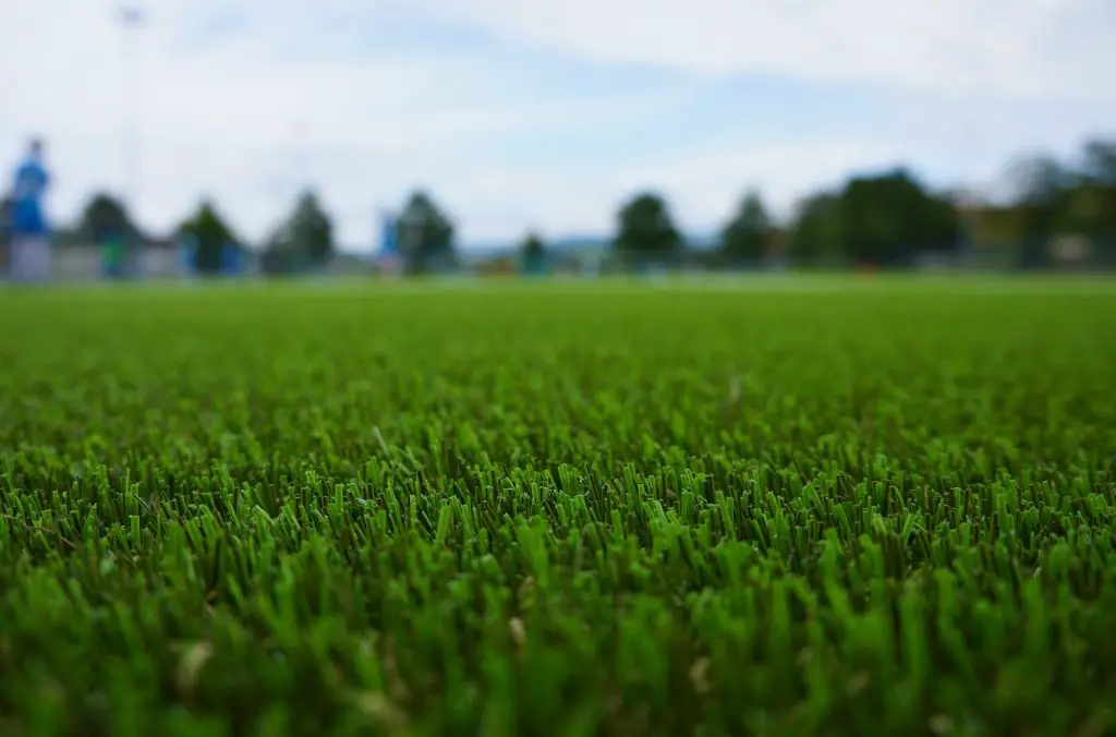 A closeup of artificial grass.