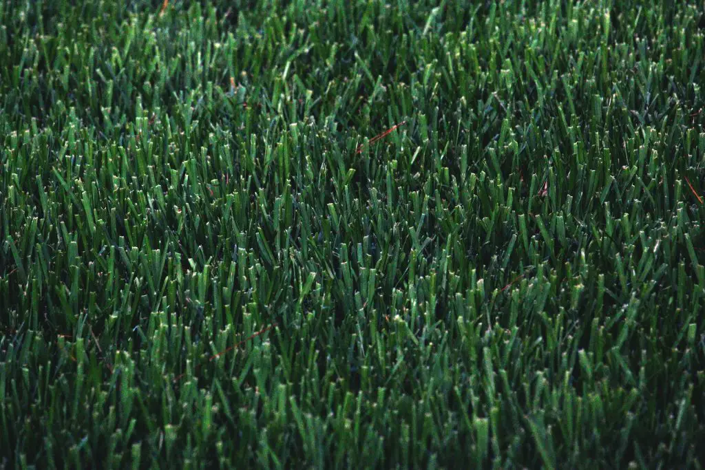 A closeup of artificial grass.