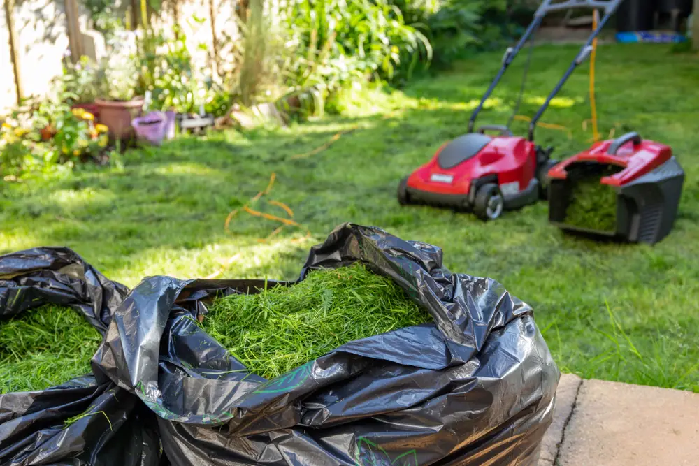 Two trash bags of grass clippings, a lawn mower, and a grass catcher in a backyard.