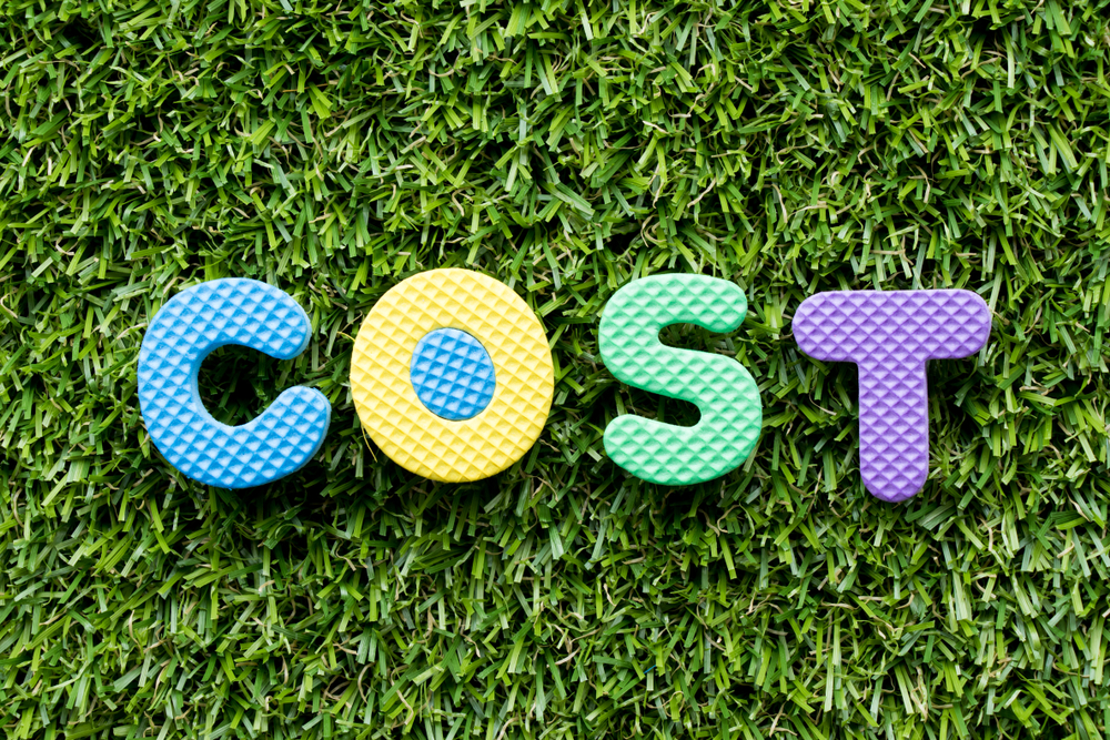 Letters laying on artificial grass and spelling out "Cost."