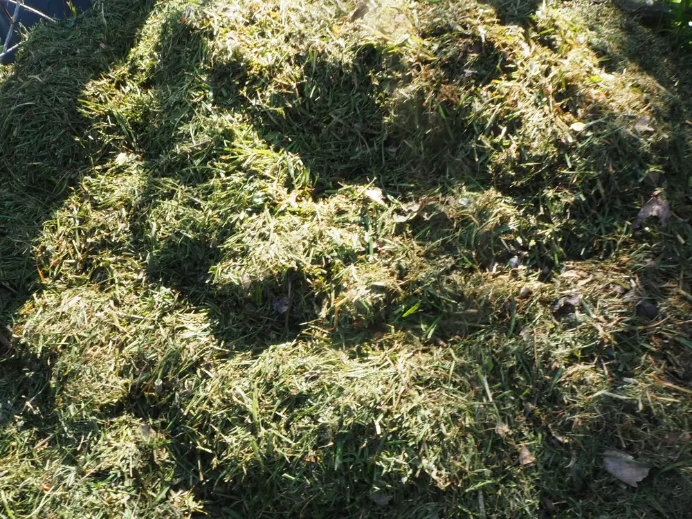 Using grass clippings on the compost heap.