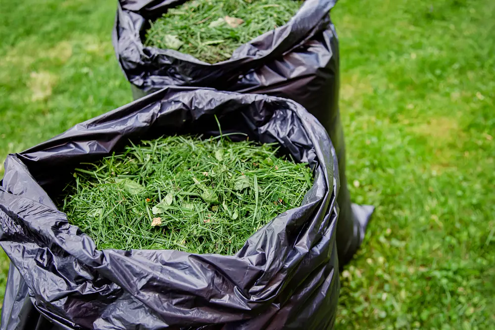 Two trash bags full of grass clippings.