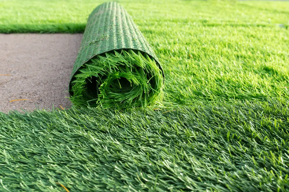 An artificial grass roll ready to be rolled between other rolls of artificial grass already laid down.