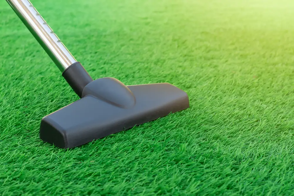 Vacuum cleaning artificial grass.