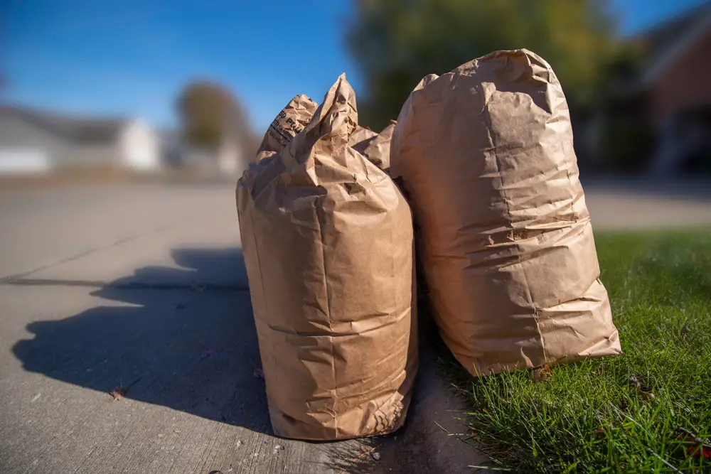 Tan Kraft lawn and leaf bags sitting on the curb.