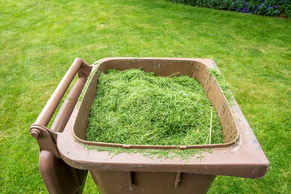 A bin full of grass clippings in the backyard.