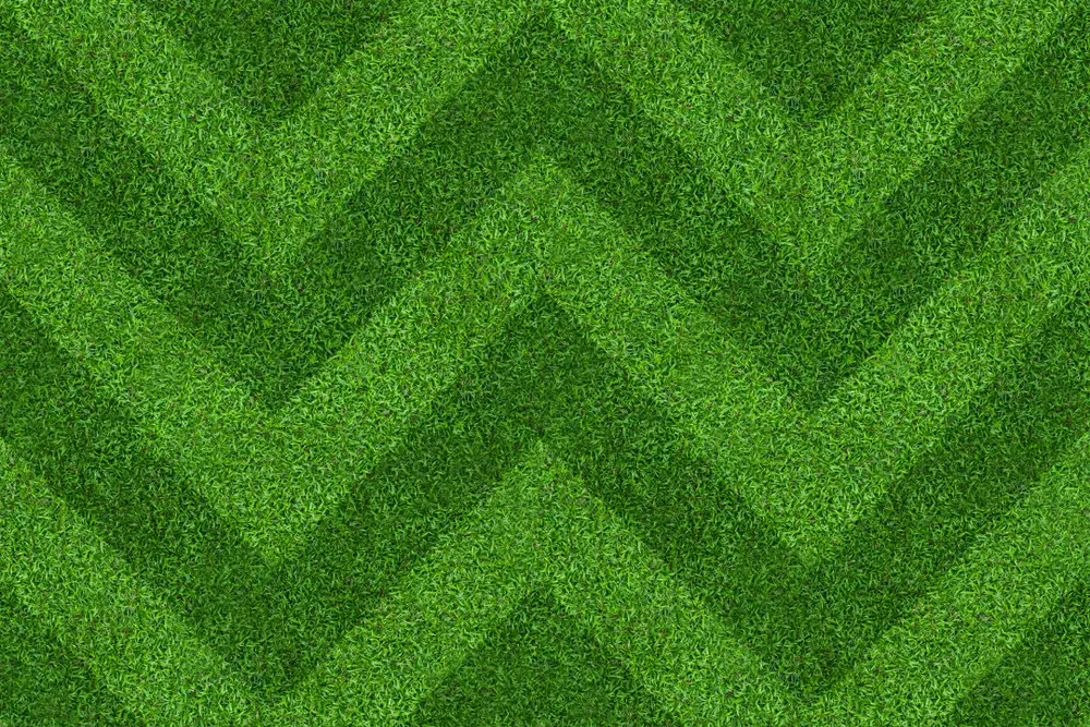 An overhead view of a zig-zag mowing pattern.