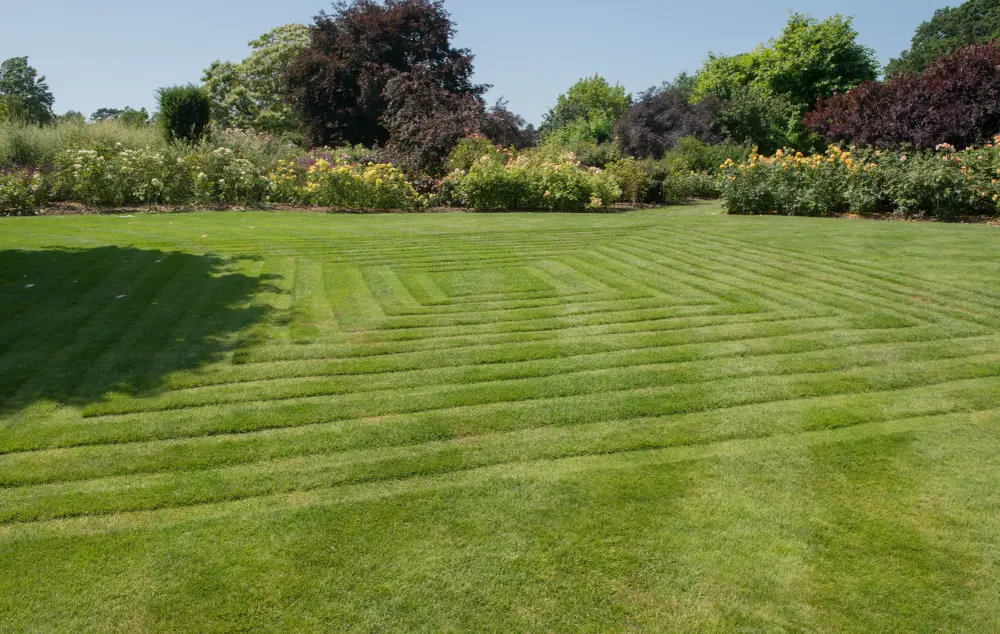 Repeating diamond shape lawn art at a country club.