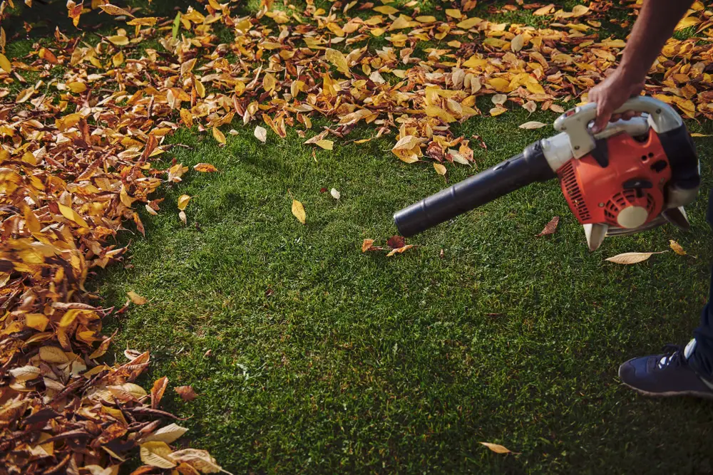 A leaf blower blowing leaves.