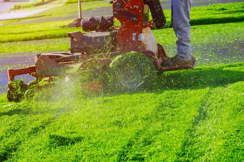 Someone standing on a riding lawn mower and cutting the grass.