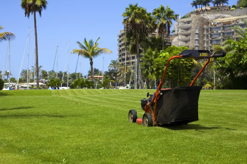 A lawn mower with a grass bagger outside near some hotels and boats.