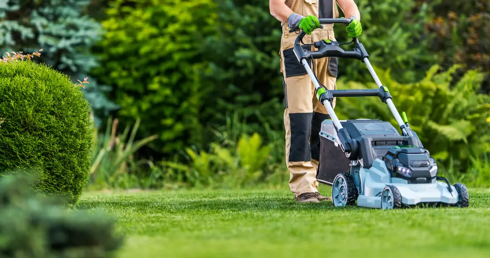 A person in protective gear mowing the grass with a walk-behind lawn mower.