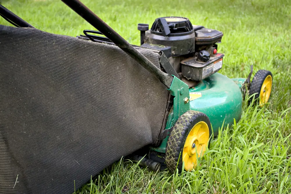 A green lawn mower with a grass bagger outside on a sunny day.