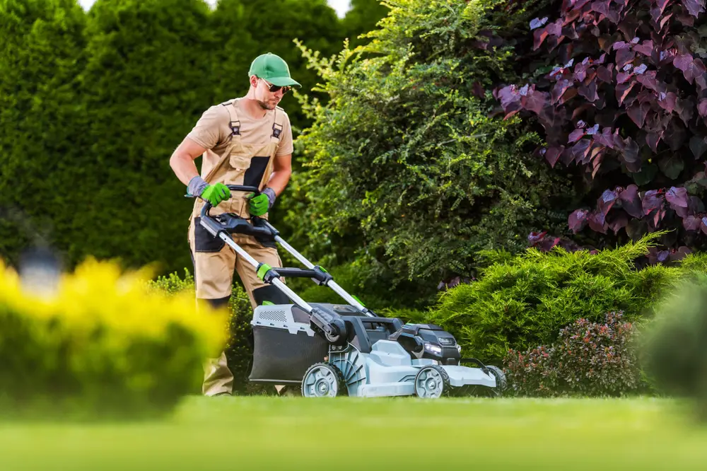 A professional cutting the grass.