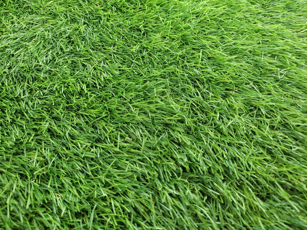 Thick artificial grass.