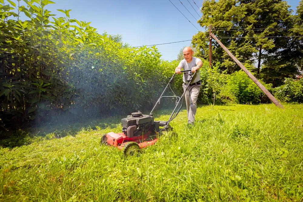 A man mowing thick grass with a smoking lawn mower.
