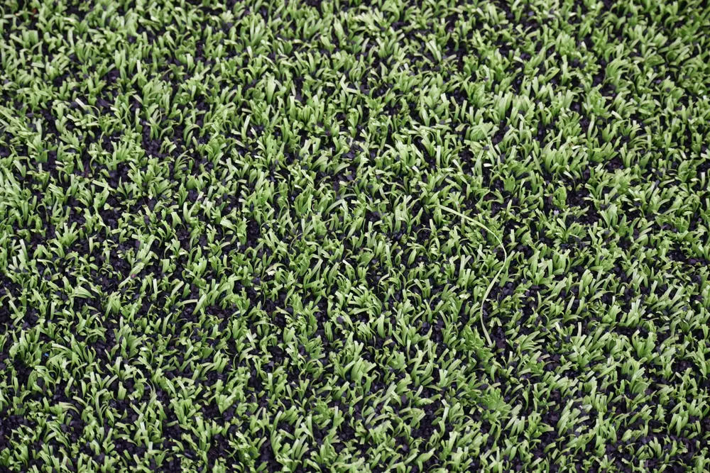 A closeup of artificial grass with infill.