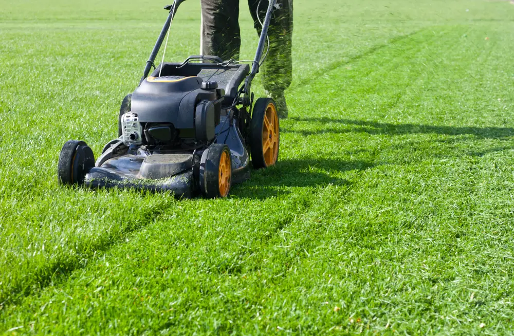 A person cutting their lawn with their lawn mower.