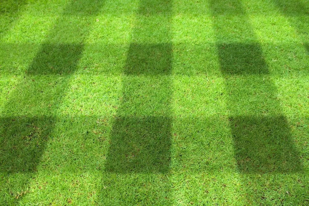 A checkerboard mowing pattern.