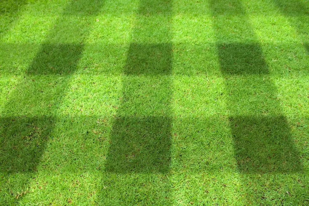 A Complete Guide To The Best Mowing Patterns