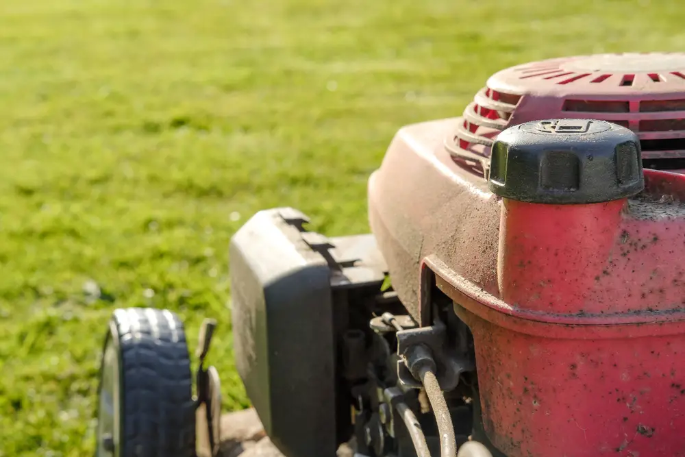 A closeup of the side of a lawn mower showing the air filter compartment.