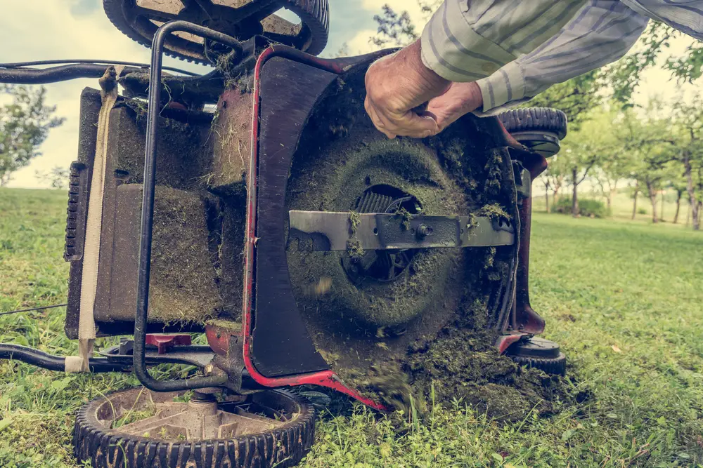 An older man cleaning the underside of his dirty lawn mower.